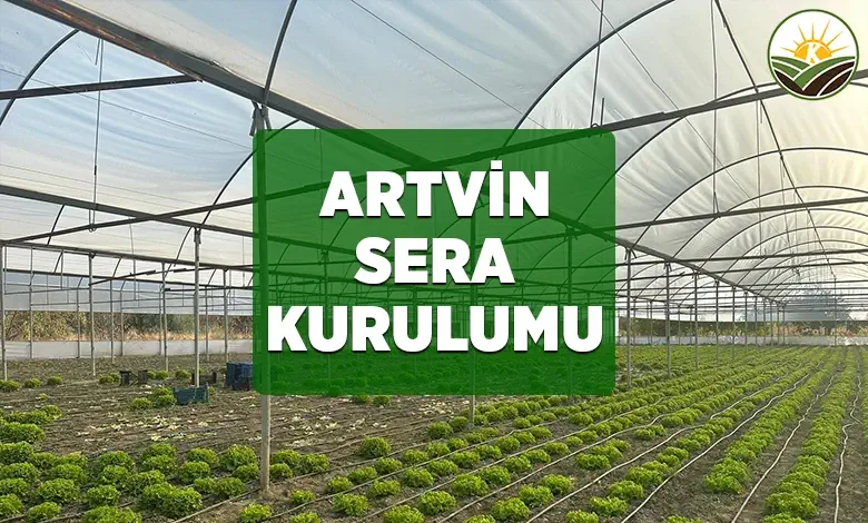 artvin sera kurulumu