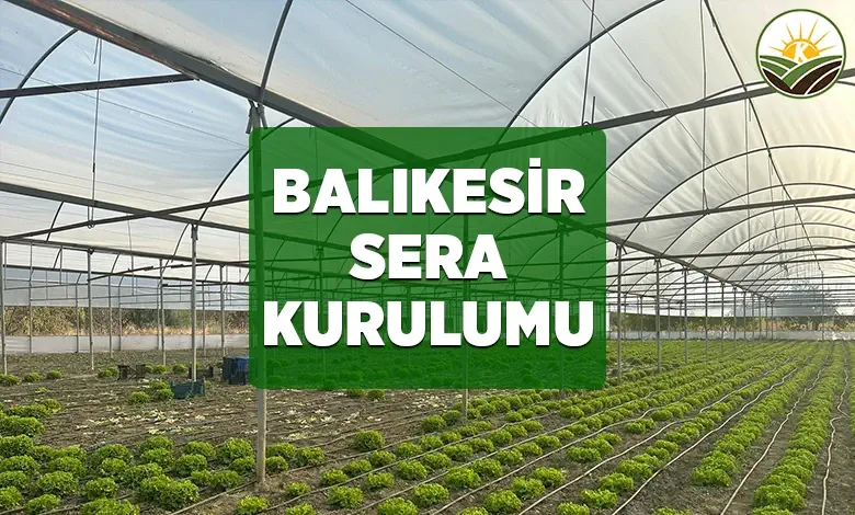 balikesir sera kurulumu