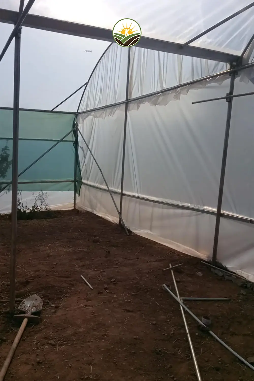 domates serasi kurulumu