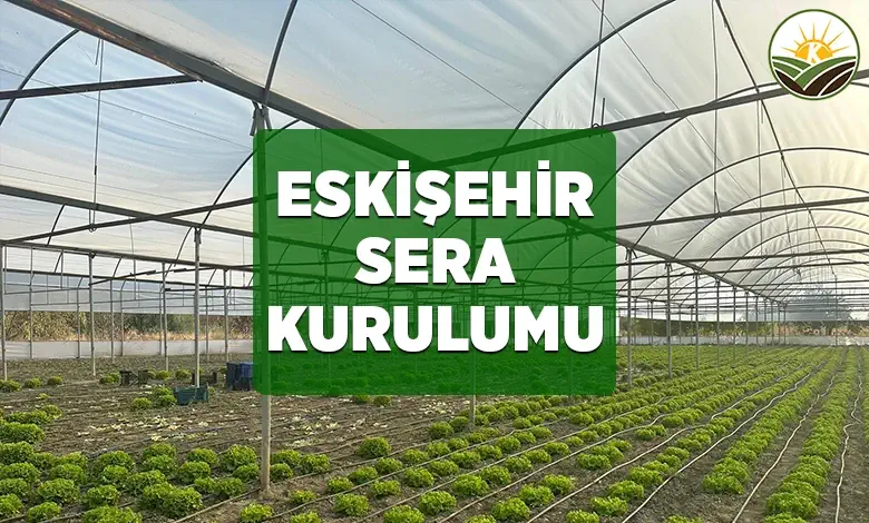 eskisehir sera kurulumu