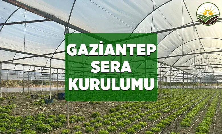 gaziantep sera kurulumu