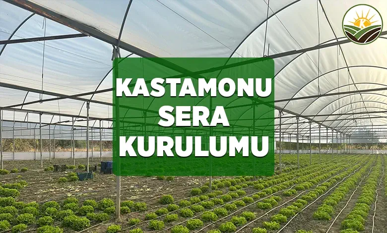 kastamonu sera kurulumu