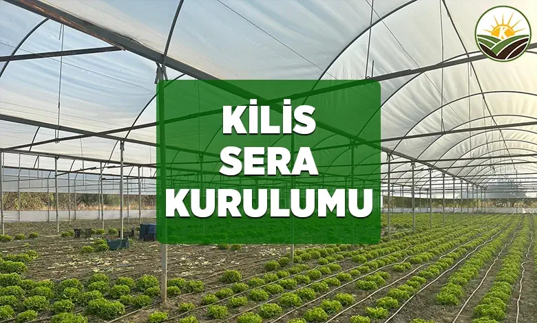 kilis sera kurulumu