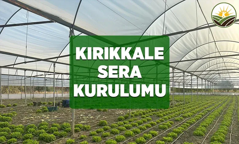 kirikkale sera kurulumu