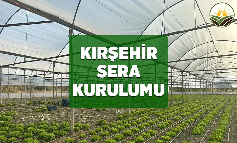 kirsehir sera kurulumu