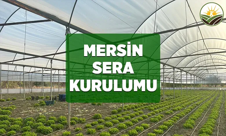 mersin sera kurulumu