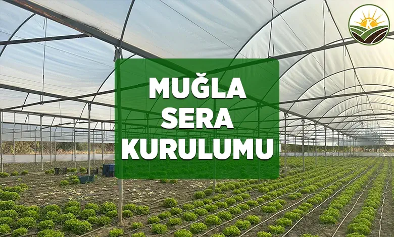 mugla sera kurulumu