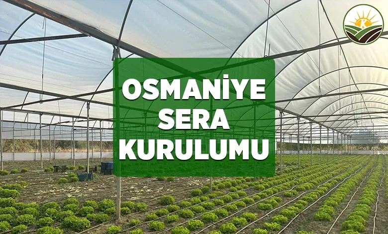osmaniye sera kurulumu