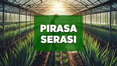pirasa serasi