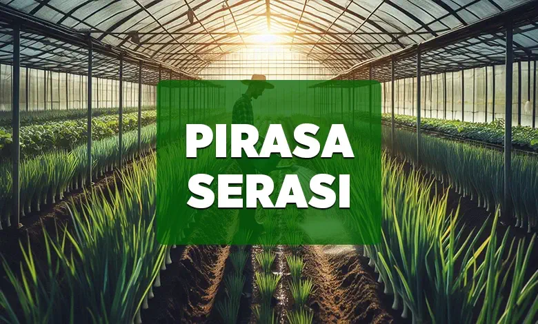 pirasa serasi