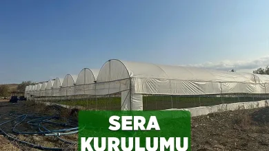 sera kurulumu