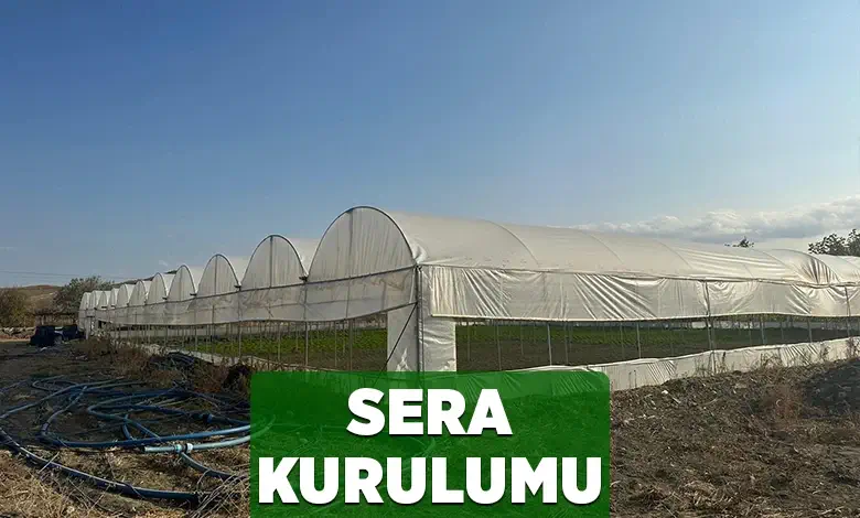 sera kurulumu