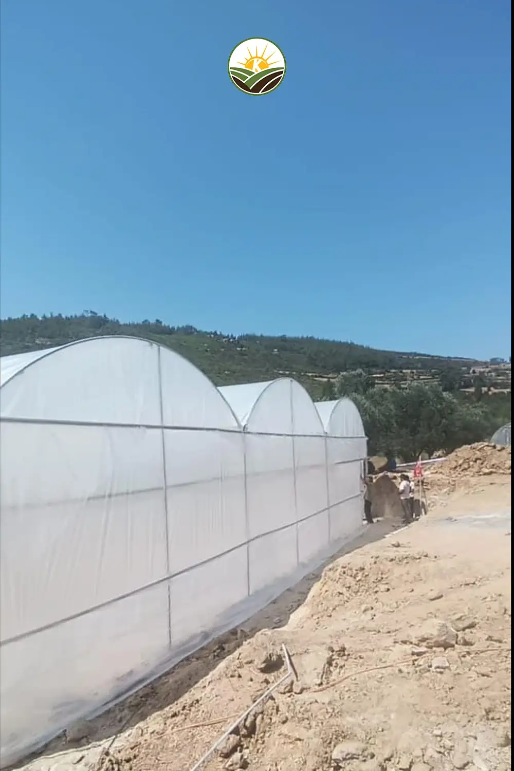 sera yatirimi tarimsal getiriler