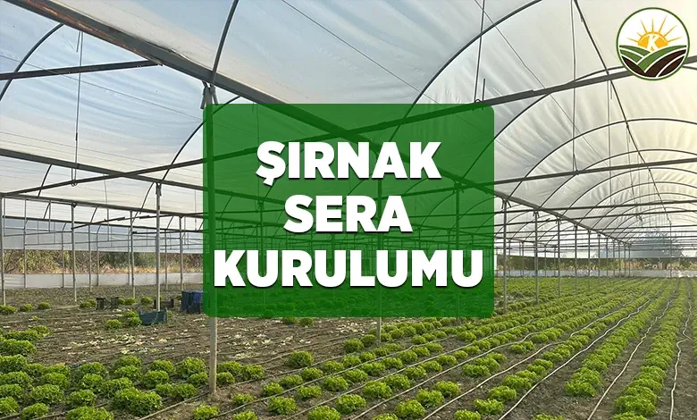 sirnak sera kurulumu